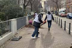 Aktion 04. Januar 2025