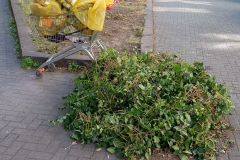 Blitzreinigung im Juli 2018