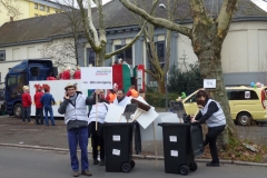 Faschingsumzug 2014 in Ludwigshafen
