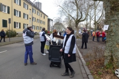 Faschingsumzug 2014 in Ludwigshafen