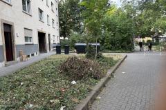 Rundgang durch den Hemshof mit WBL am 24. Juli 2025