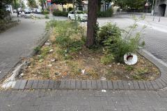 Rundgang durch den Hemshof mit WBL am 24. Juli 2025