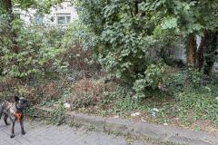 Rundgang durch den Hemshof mit WBL am 24. Juli 2025