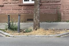 Rundgang durch den Hemshof mit WBL am 24. Juli 2025