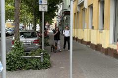 Rundgang durch den Hemshof mit WBL am 24. Juli 2025