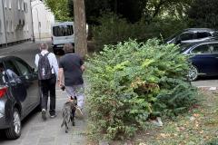 Rundgang durch den Hemshof mit WBL am 24. Juli 2025