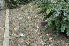 Rundgang durch den Hemshof mit WBL am 24. Juli 2025