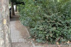 Rundgang durch den Hemshof mit WBL am 24. Juli 2025