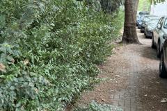 Rundgang durch den Hemshof mit WBL am 24. Juli 2025