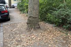 Rundgang durch den Hemshof mit WBL am 24. Juli 2025