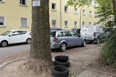 Rundgang durch den Hemshof mit WBL am 24. Juli 2025