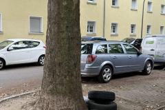 Rundgang durch den Hemshof mit WBL am 24. Juli 2025