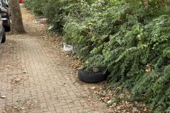 Rundgang durch den Hemshof mit WBL am 24. Juli 2025