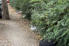 Rundgang durch den Hemshof mit WBL am 24. Juli 2025