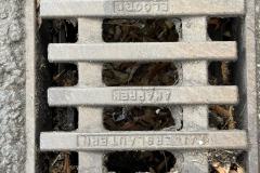 Rundgang durch den Hemshof mit WBL am 24. Juli 2025