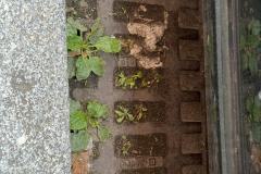 Rundgang durch den Hemshof mit WBL am 24. Juli 2025