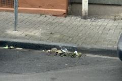 Rundgang durch den Hemshof mit WBL am 24. Juli 2025