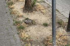 Rundgang durch den Hemshof mit WBL am 24. Juli 2025