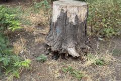 Rundgang durch den Hemshof mit WBL am 24. Juli 2025