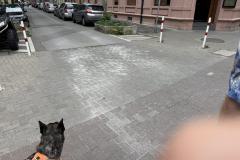 Rundgang durch den Hemshof mit WBL am 24. Juli 2025