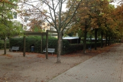 Neue Bänke und sauber geschnittene Hecken im Friedenspark. Eine Aktion des Ortsvorstehers